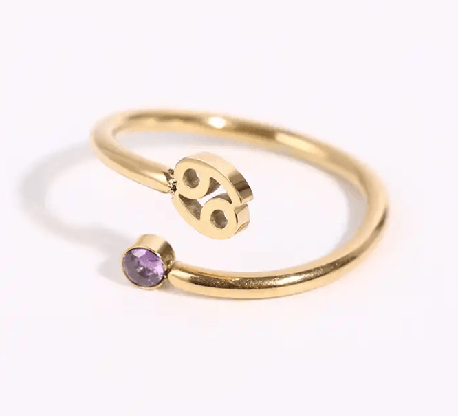 Star Sign & Birth Stone Rings / 18K Gold Plated - Nina Kane Jewellery