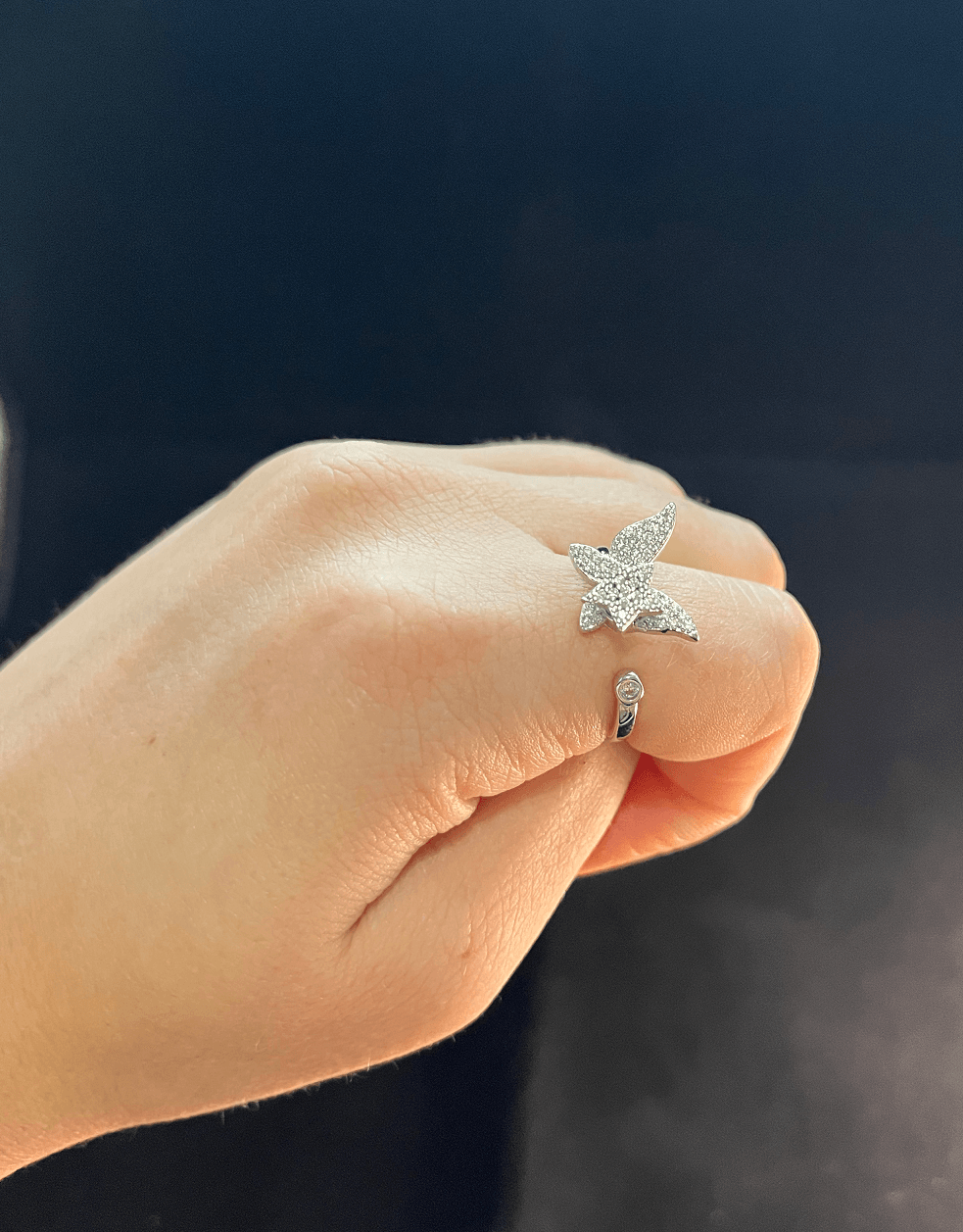 Delilah Spinning Butterfly Ring / Stainless Steel - Nina Kane Jewellery