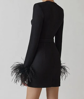 The "Statement Sleeve" Dress