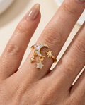 The Celestial Ring view 4