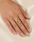 The Celestial Ring view 3