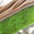 Kiwifruit Tropical Soap Slice view 4