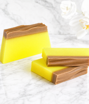 Pineapple Tropical Soap Slice - Nina Kane Jewellery
