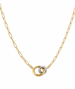The Micheala Mixed Metal Necklace