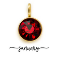 The Birth Stone Charms / 18K Gold Plated view 6
