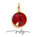 The Birth Stone Charms / 18K Gold Plated view 18