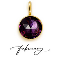 The Birth Stone Charms / 18K Gold Plated view 8
