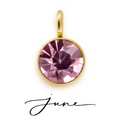 The Birth Stone Charms / 18K Gold Plated view 16