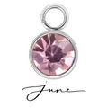 The Birth Stone Charms / 18K Gold Plated view 17