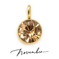 The Birth Stone Charms / 18K Gold Plated view 26