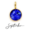 The Birth Stone Charms / 18K Gold Plated view 22