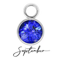 The Birth Stone Charms / 18K Gold Plated view 23