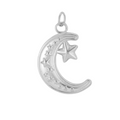 The Moonbeam Charm / Stainless Steel view 1