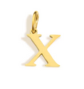The Innital Letter Charms / 18K Gold Plated view 23