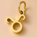 The Star Sign Charms / 18K Gold Plated view 6