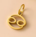 The Star Sign Charms / 18K Gold Plated view 8