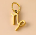 The Star Sign Charms / 18K Gold Plated view 14