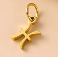 The Star Sign Charms / 18K Gold Plated view 16