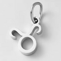 The Star Sign Charms / 18K Gold Plated view 18