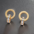 Birkley Roman Earrings / Titanium Steel view 1