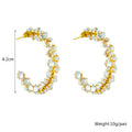 Sabrina Crystal Studded Hoop Earrings / Stainless Steel view 4