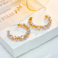 Sabrina Crystal Studded Hoop Earrings / Stainless Steel view 2