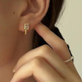 Monaco Elegant Zircon Earrings / 925 Sterling Silver view 1